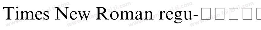 Times New Roman regu字体转换